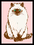 birman2.gif - 3.05 K