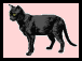 blackie1.gif - 1.98 K