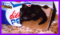 pepsihi.gif - 17.81 K