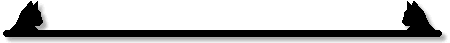silline.gif - 1.65 K