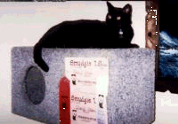 smudgieA1.gif - 17.95 K
