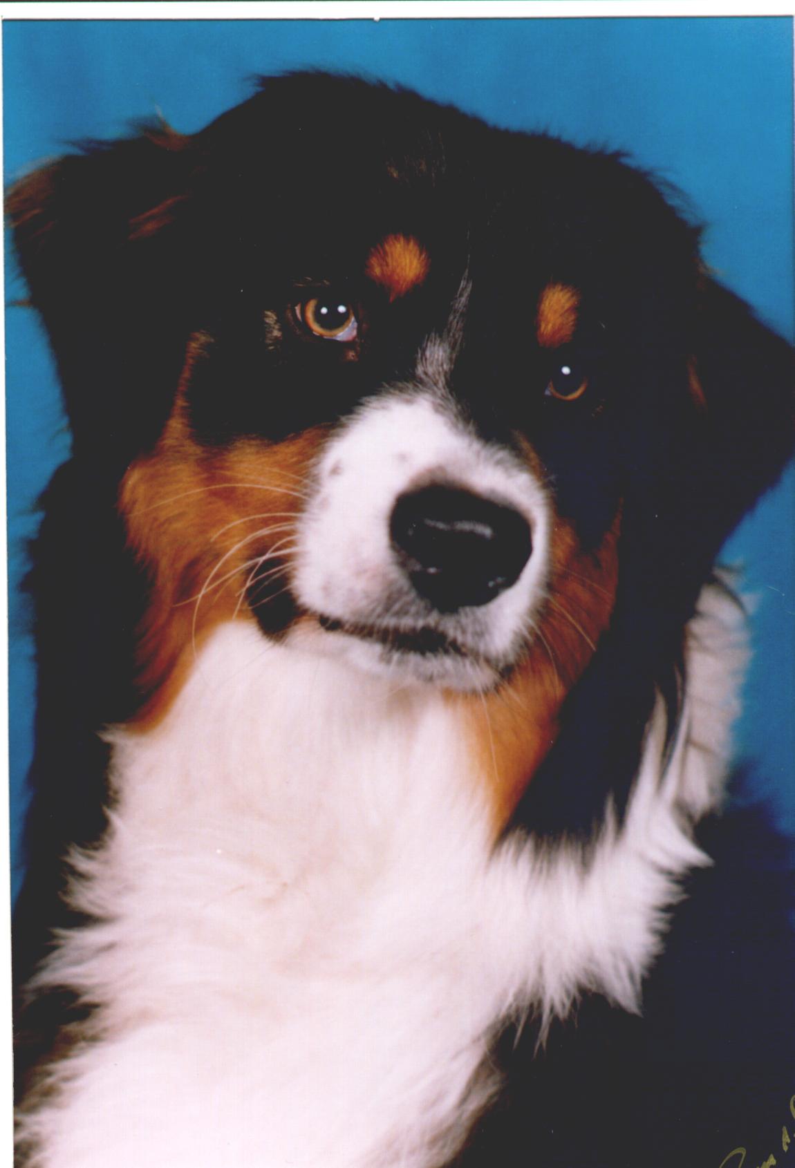 Lucy