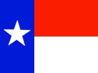 Texas Flag
