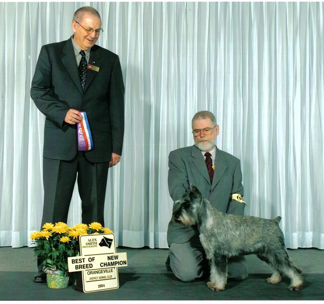 This is Angel winning Best of Breed and finishing her Championship at Orangeville show