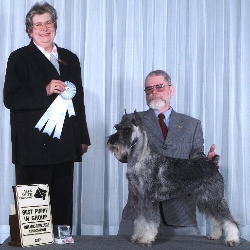 This is a picture of Mason winning best 
Puppy in working Group.