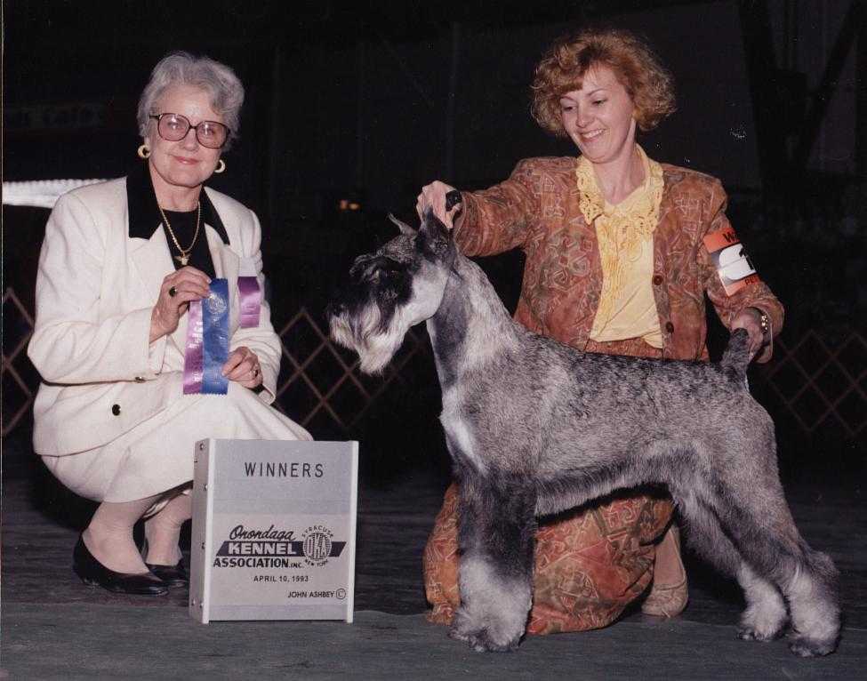 This is a picture of Willie when he
 was in USA with Leann Shank winning his Am Ch.