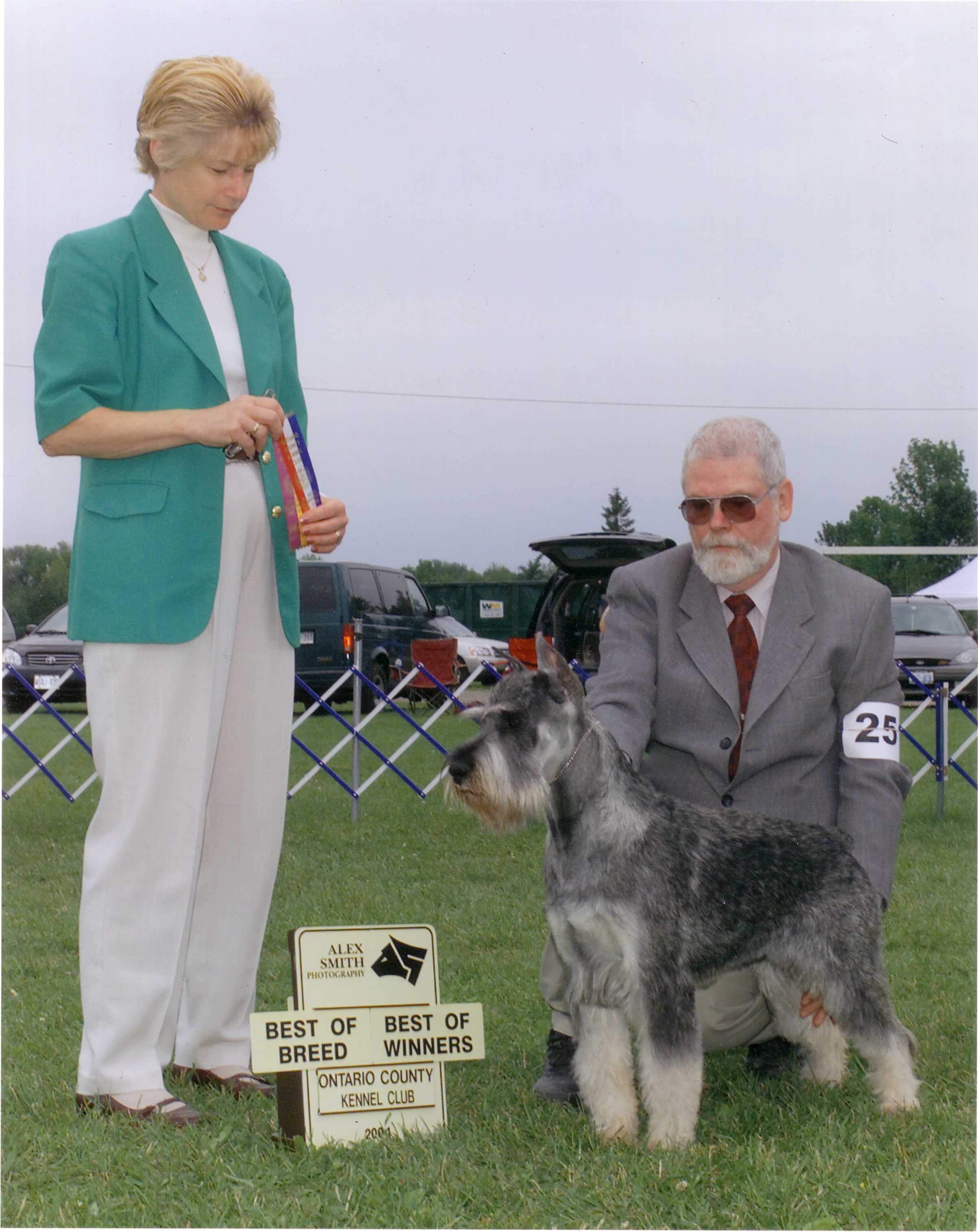 This is JJ winning Best of Breed and Best of winners at Orono weekend.