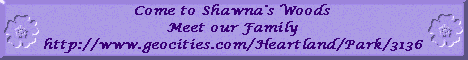 Shawna's Woods