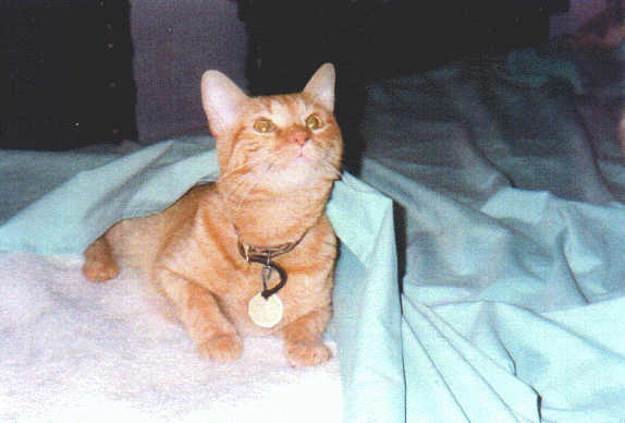 George