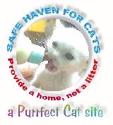 SafeHaven