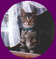 Baby Camille