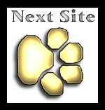 CICW Next