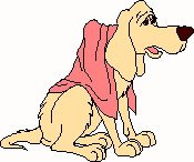 weary dog pic