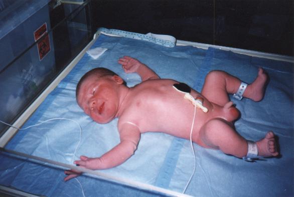 'I can't believe that Dad actually put this picture out for everyone to see.'