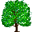 a tree