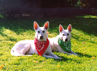 Two Girls