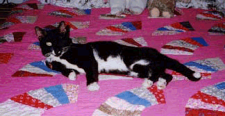 [Frankie