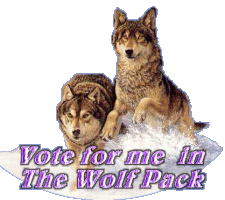 Click Here To Vote