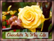 Chocolate Is My Life