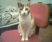 thumbnail of your picture #4