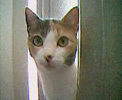 thumbnail of your picture #3