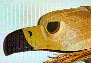 /user/eagle_mask3.gif