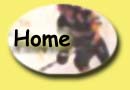 To Gail's House