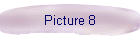 Picture 8