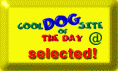 cooldogsiteselected2