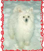 Snow.jpg (10510 bytes)
