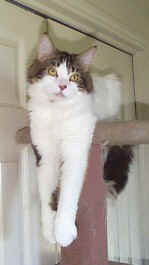 Hangin' in there!