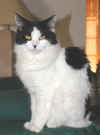 dottie101702.jpg (15454 bytes)