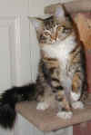 Rosemary at  4 months of age