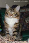 Rosemary at 6 months of age