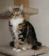 Photo taken:  5/17/2002