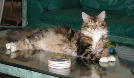 Photo taken:  September 9, 2002