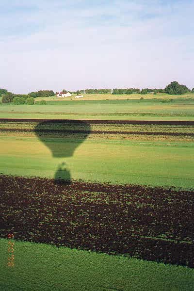 shadows