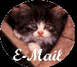 7email.jpg (5943 bytes)