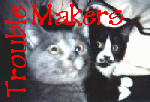 Troublemakers!