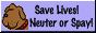 Neuter your pet