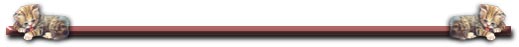 horizontal rule