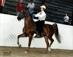 Amanda Runge and Sunami