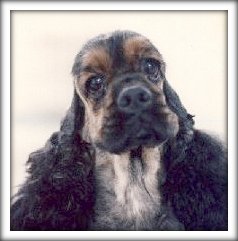 Remington