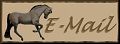 email.jpg W=120 H=44