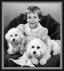 Kathy & the Bichon's