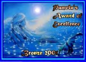 Bronze Award