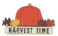 Harvest Time