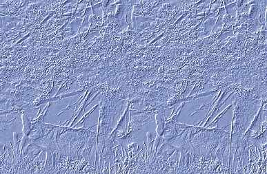 here is a blue wolf background