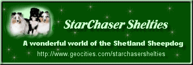 StarChaser Shelties