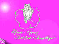 Kloud logo